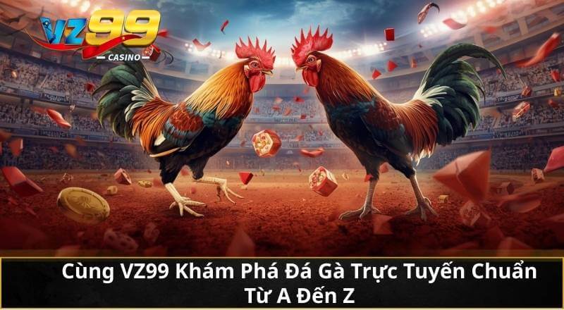Cùng VZ99 Khám Phá Đá Gà Trực Tuyến Chuẩn Từ A Đến Z 1 Cùng VZ99 Khám Phá Đá Gà Trực Tuyến Chuẩn Từ A Đến Z