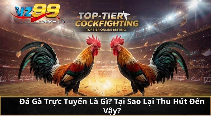 Cùng VZ99 Khám Phá Đá Gà Trực Tuyến Chuẩn Từ A Đến Z 2 Đá Gà Trực Tuyến Là Gì? Tại Sao Lại Thu Hút Đến Vậy?