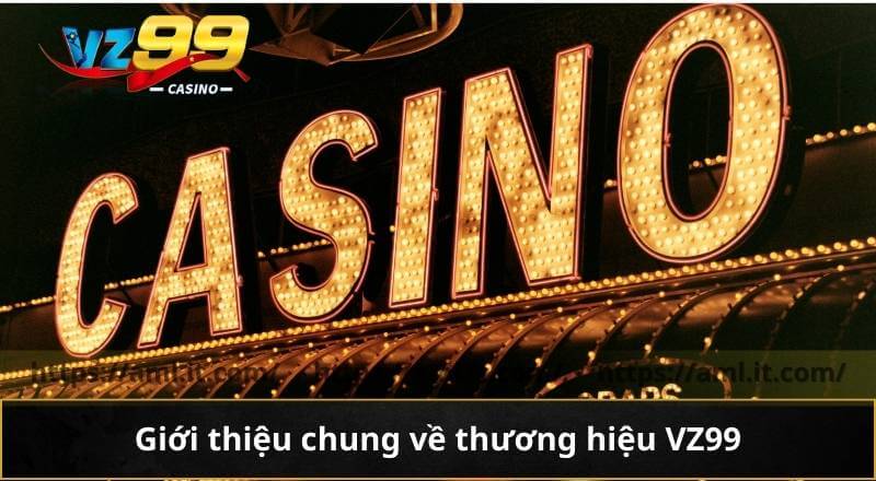 THƯƠNG HIỆU VZ99 4 Giới thiệu chung về thương hiệu VZ99