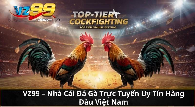 Cùng VZ99 Khám Phá Đá Gà Trực Tuyến Chuẩn Từ A Đến Z 3 VZ99 – Nhà Cái Đá Gà Trực Tuyến Uy Tín Hàng Đầu Việt Nam